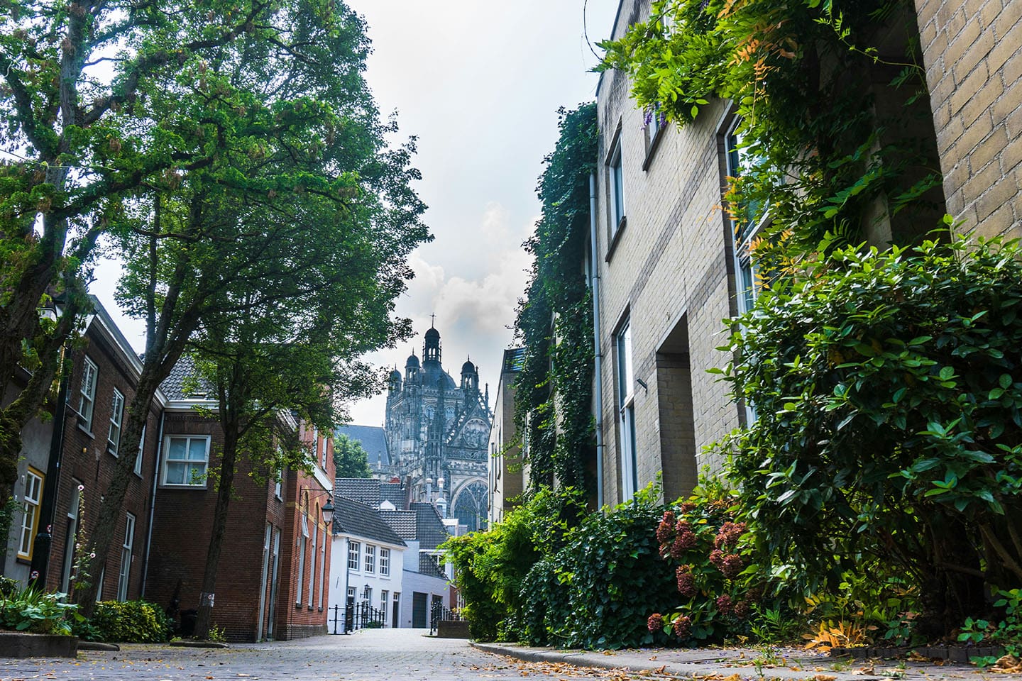 Straat in den bosch, brabant