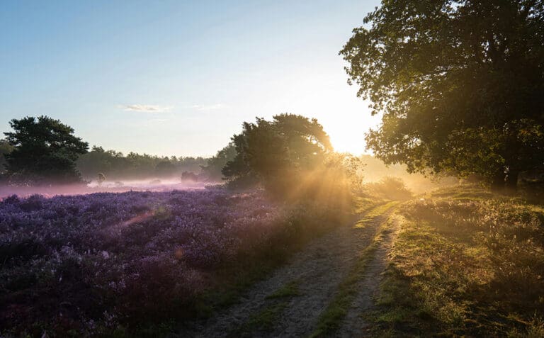 sfeerafbeelding van drenthe